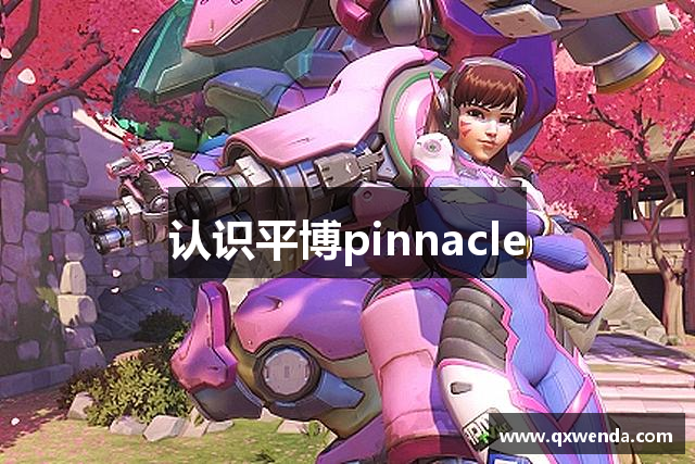 认识平博pinnacle